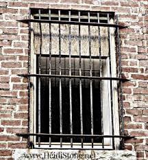 Window bars to prevent intruders