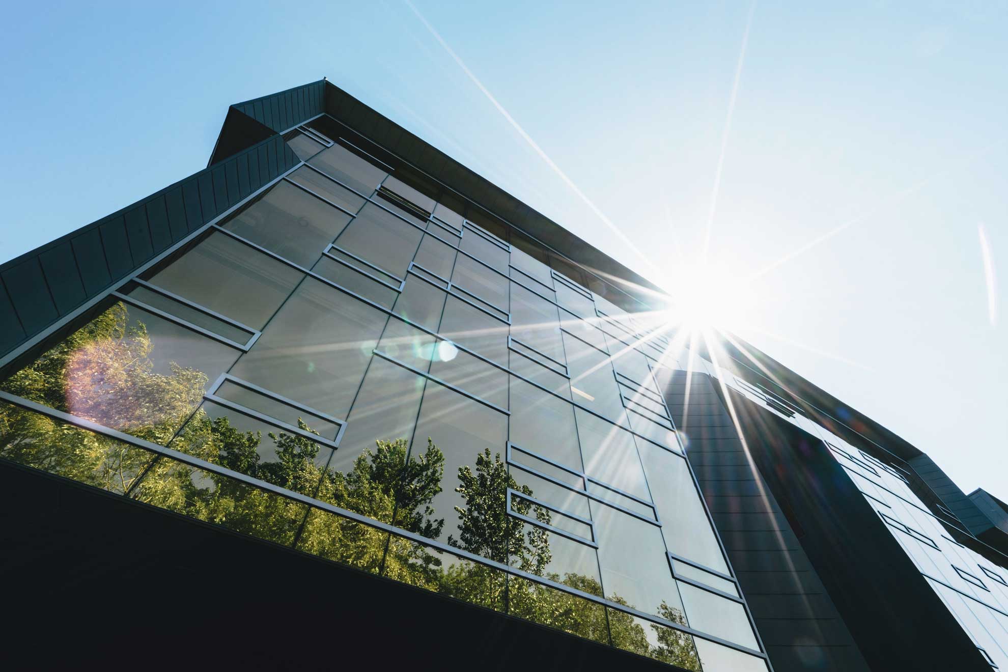Commercial and residential window film installations