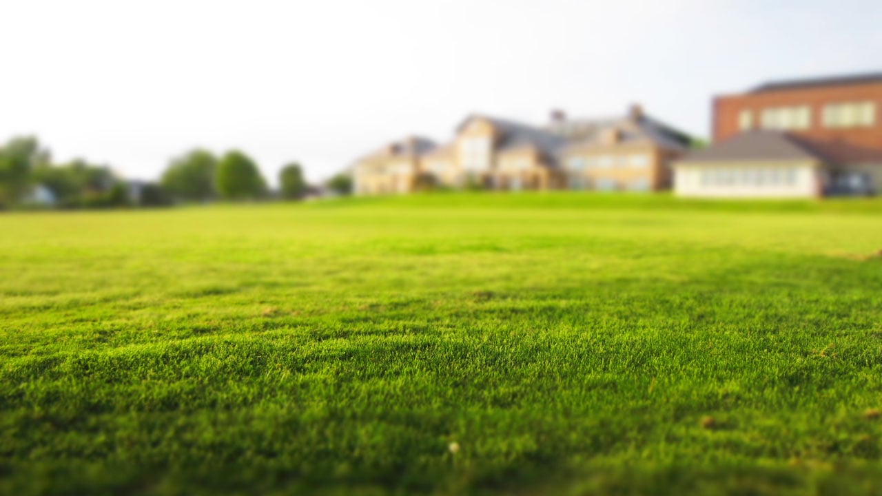 Dealing-with-turf-burn