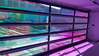 3m-fasara-dichroic.jpg