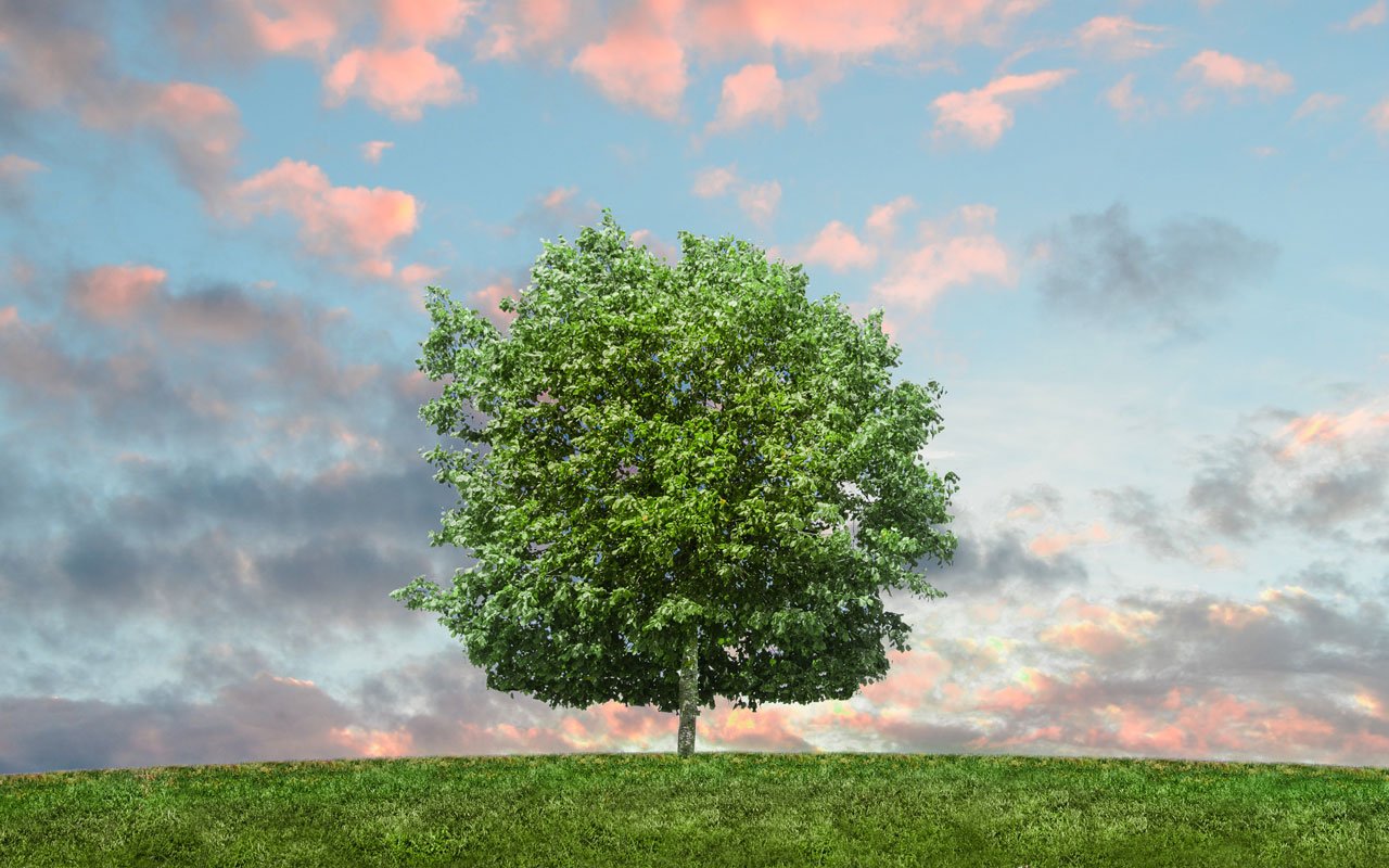 Eco-friendly ideas Eco-Friendly-Ideas