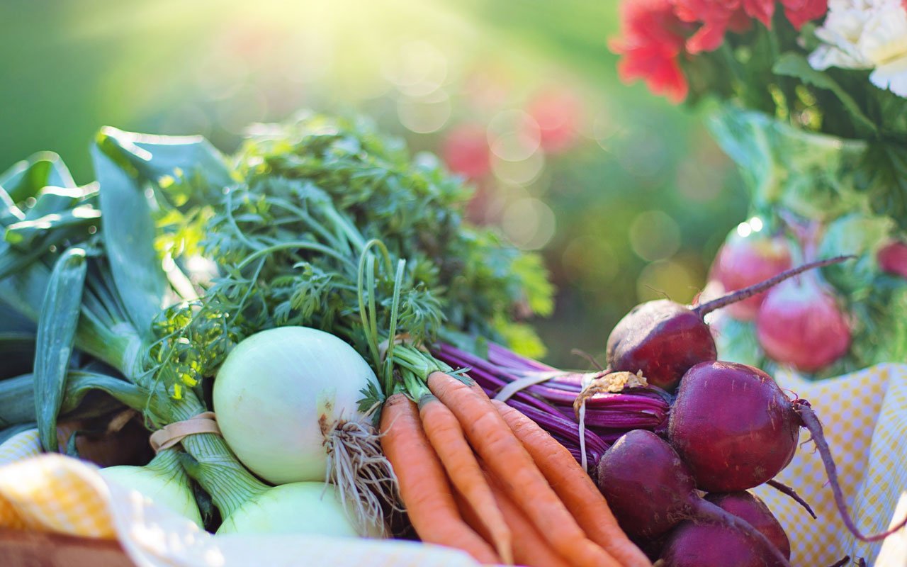 Grow your own food Grow-your-own-food