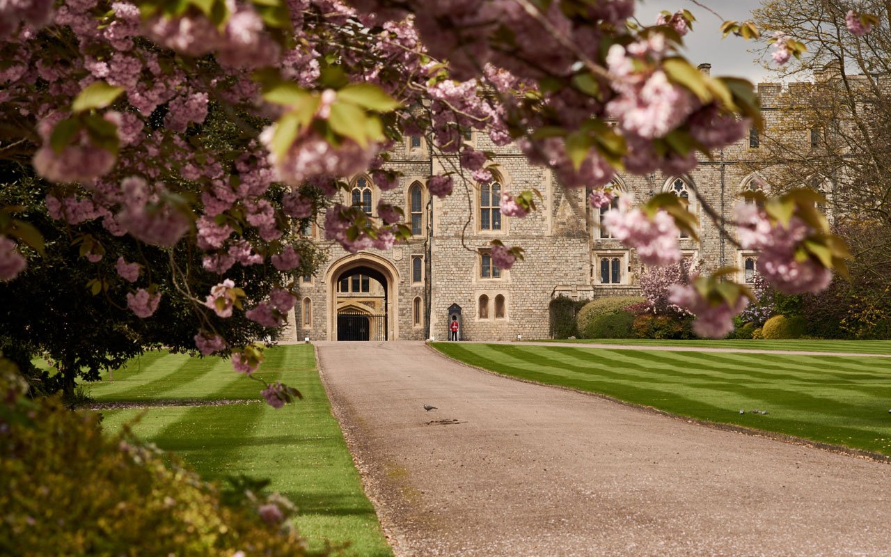 Limit entryways in schools Limit-entryways-in-schools