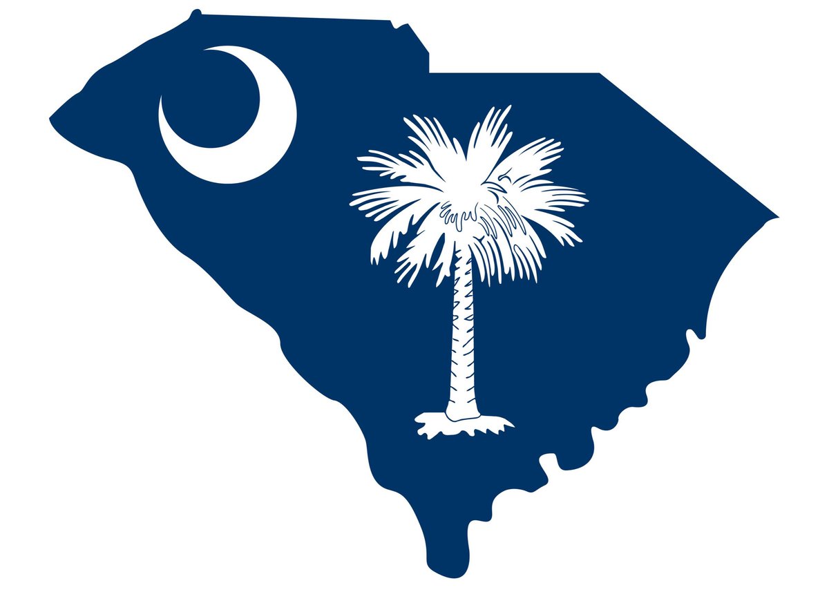 American Window Film serving school security window film South Carolina