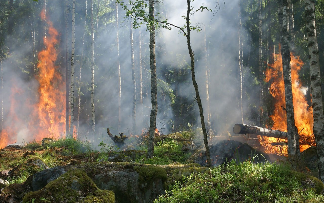 Wildfire preparedness Wildfire-preparedness