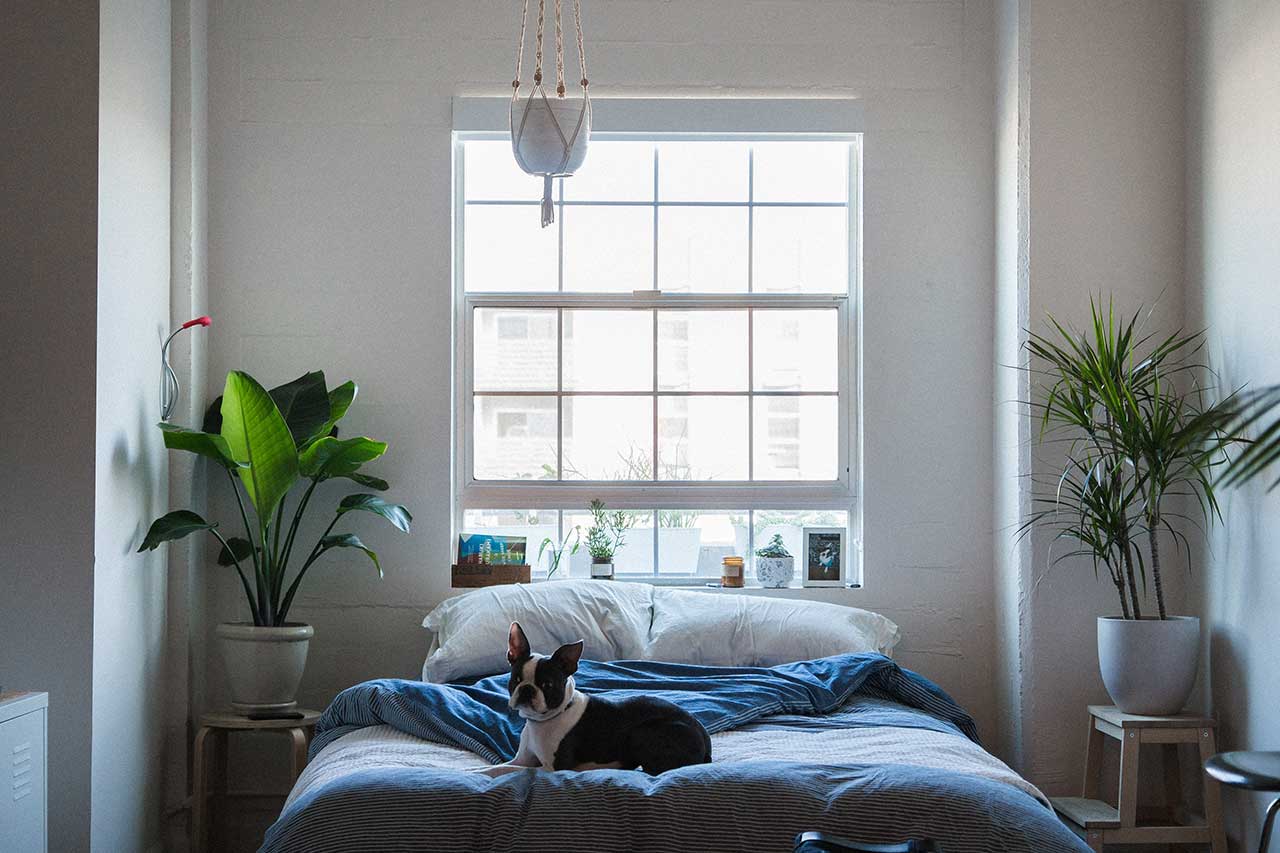 3m window film for homes los angeles