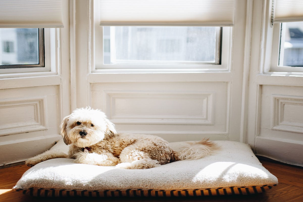 Shades for your home Shades for your home