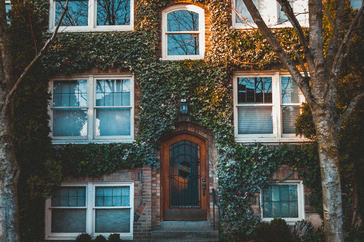 3M window film for homes in Seattle