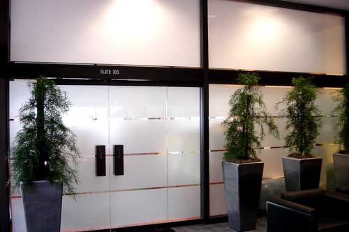 frosted window film for office entry