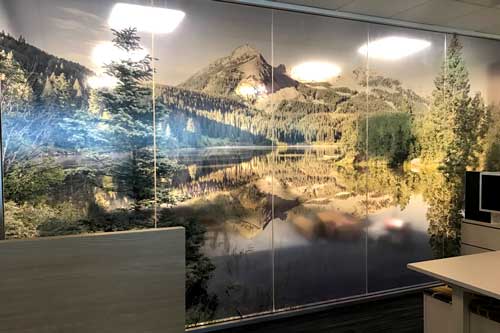 office window graphics installers