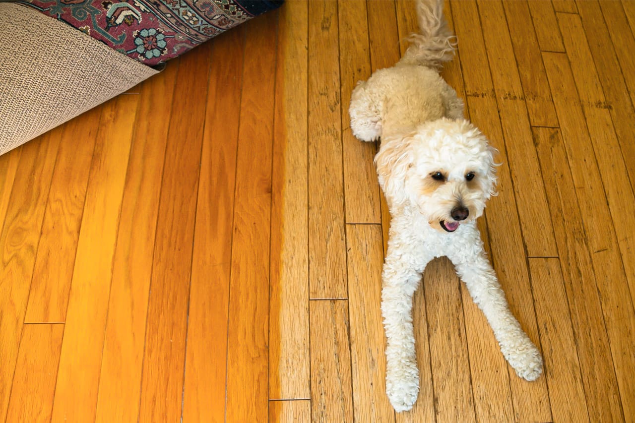 hardwood-floor-faded-UV-damage